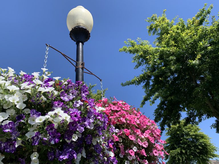 Homestead Blvd. Hanging Baskets